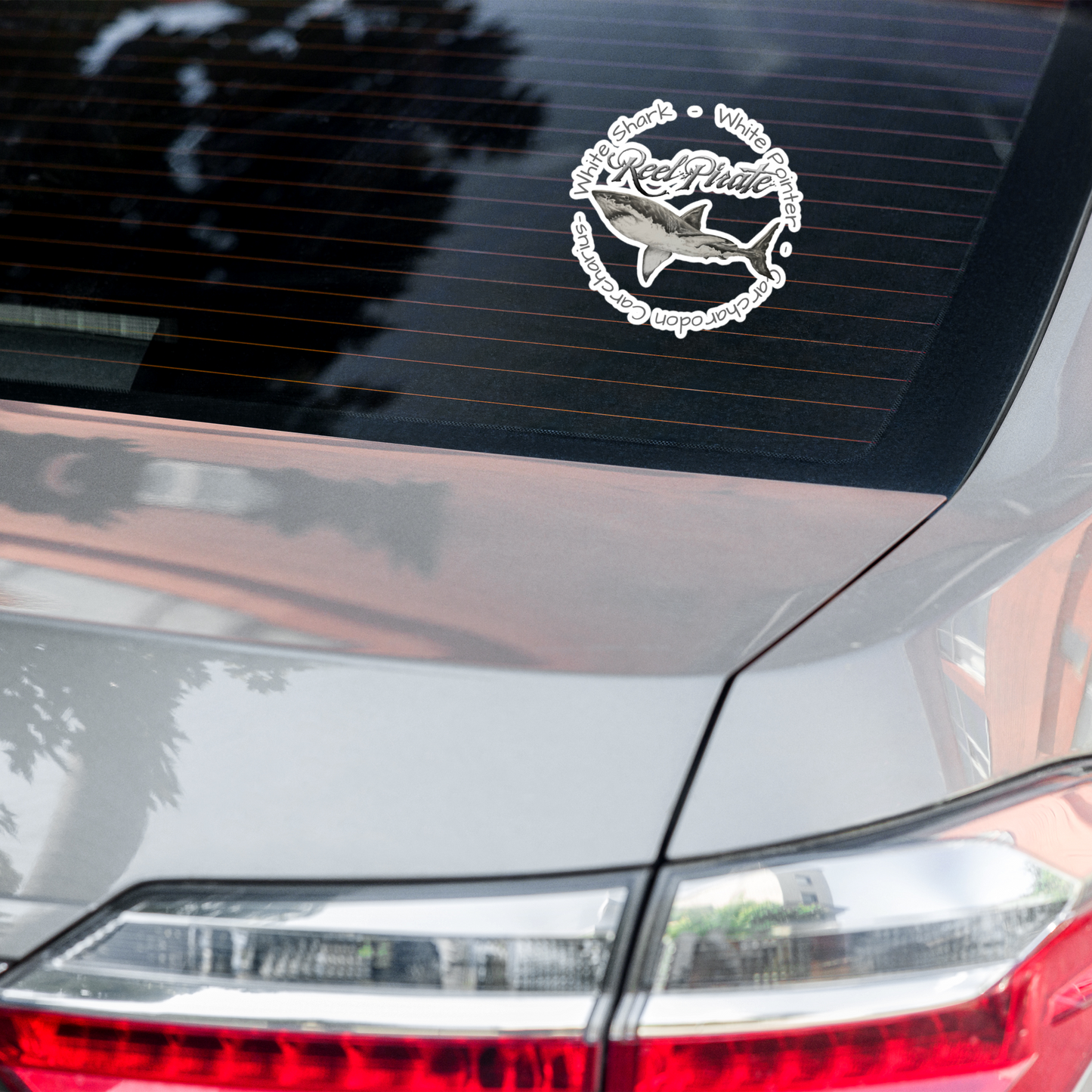 Carcharodon WhiteShark decal