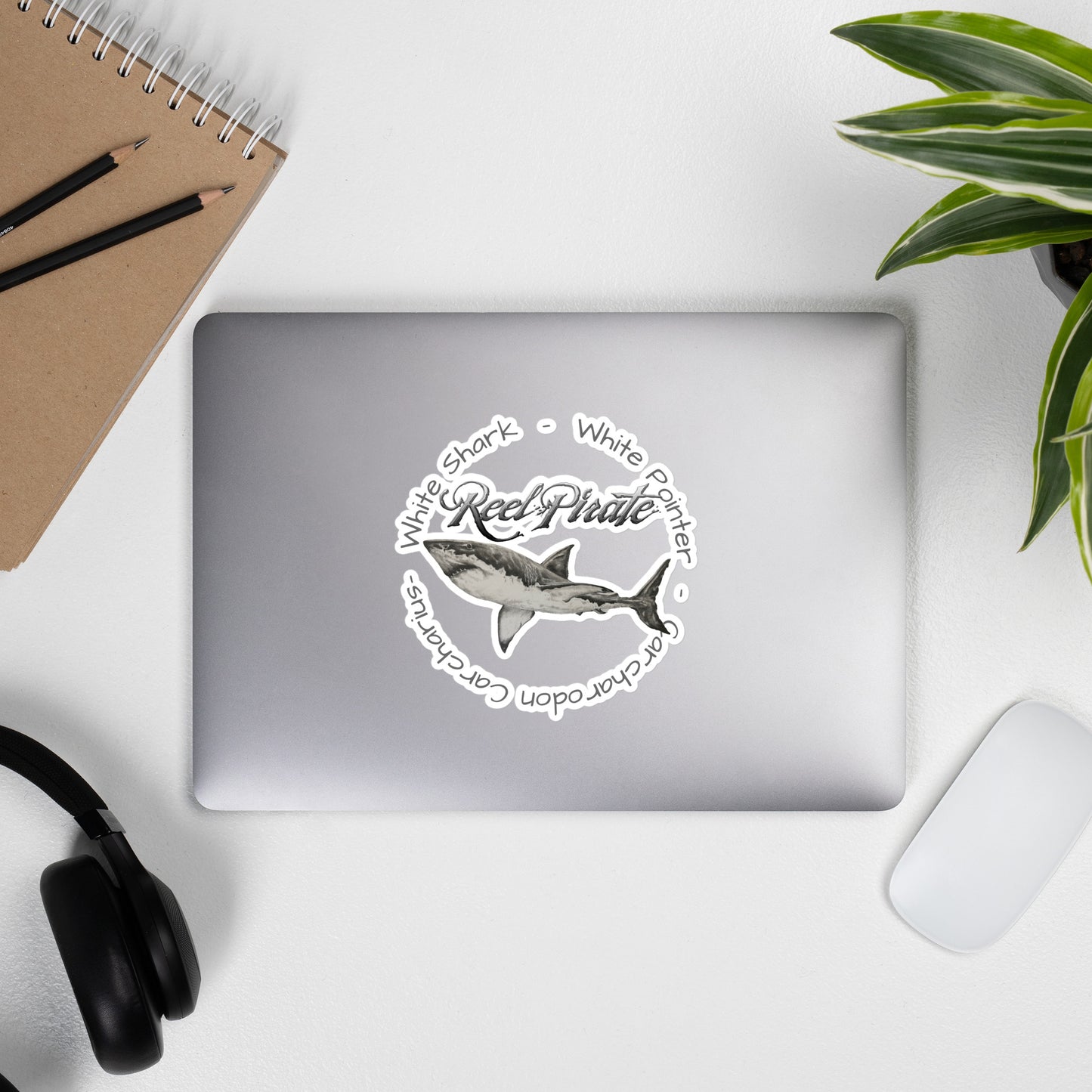 Carcharodon WhiteShark decal