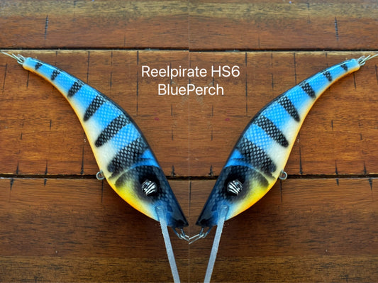 HS6 in Custom BG Blue Perch