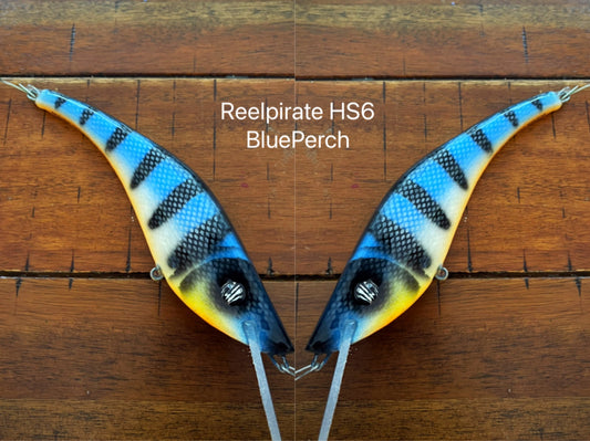 HS6 in Custom BG Blue Perch
